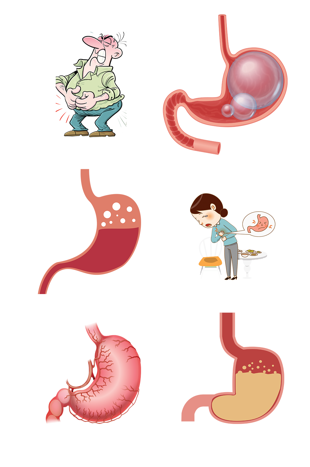 人体六腑手绘肠胃示意图免抠元素素材