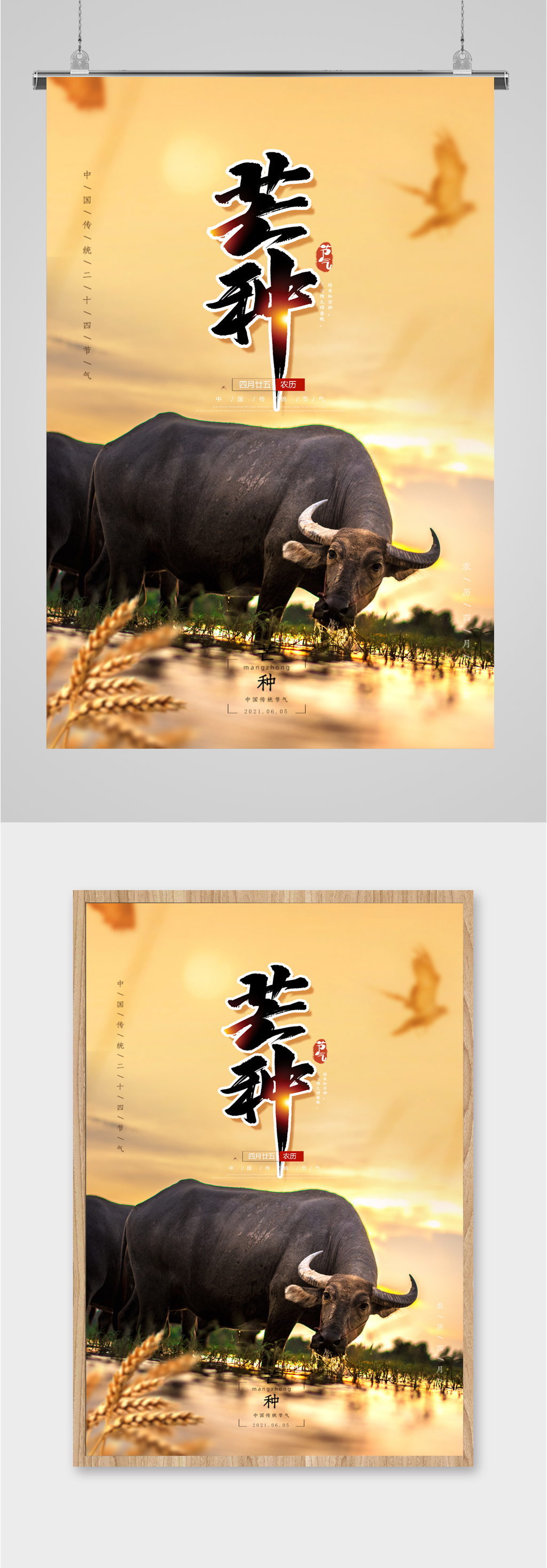 芒种农耕老牛插画海报素材