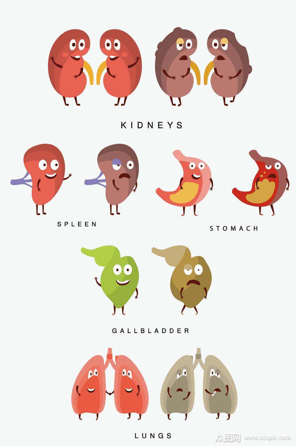 卡通形象内脏器官素材