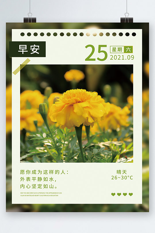 早安日历花朵清新易拉宝