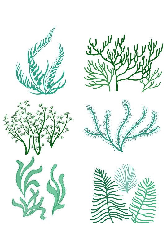 手绘绿色海藻类线图