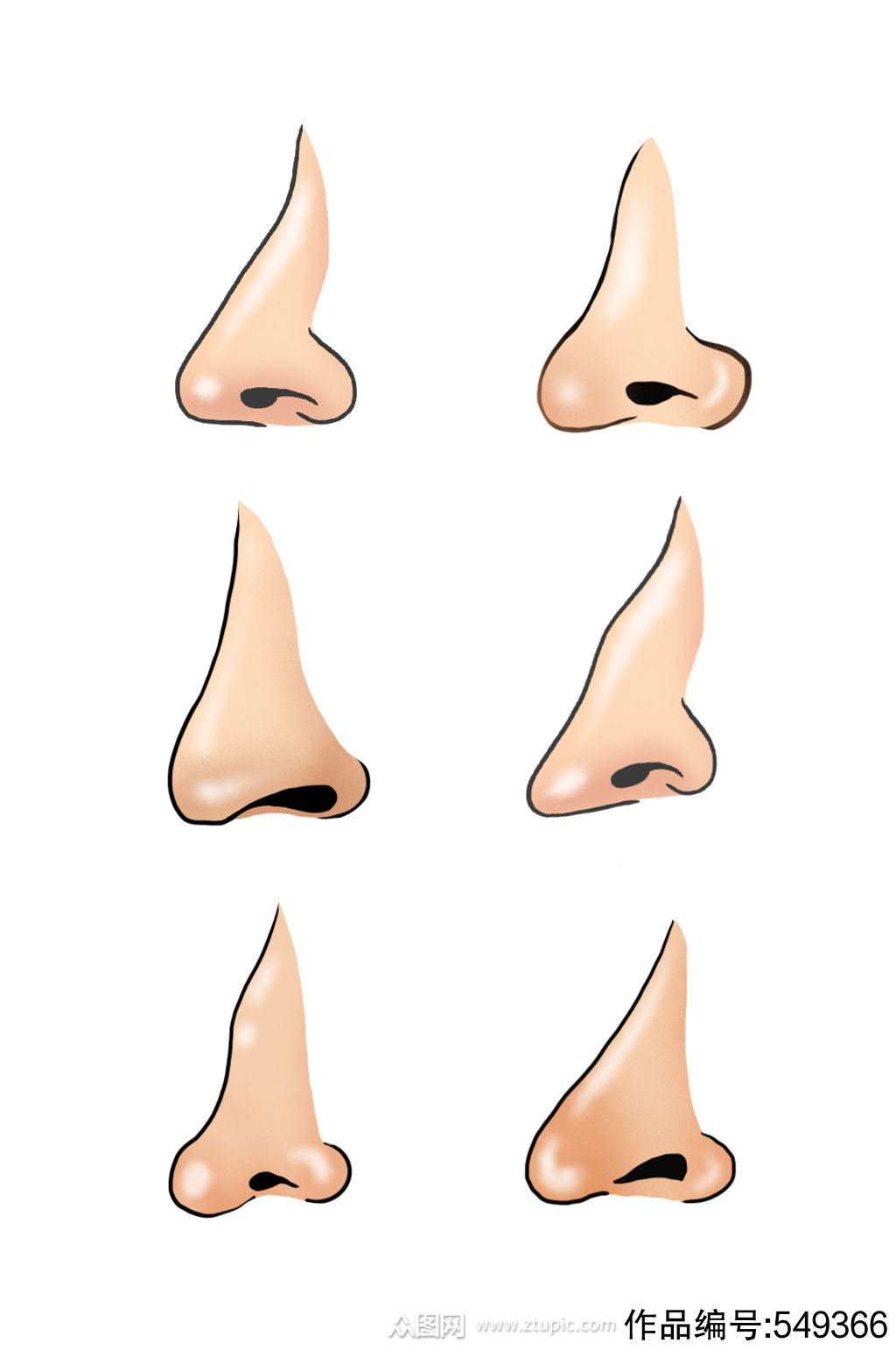 各个鼻型的卡通鼻子