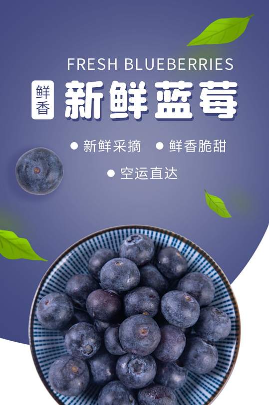 淘宝蓝莓详情页图片-淘宝蓝莓详情页设计素材-淘宝蓝莓详情页模板下载