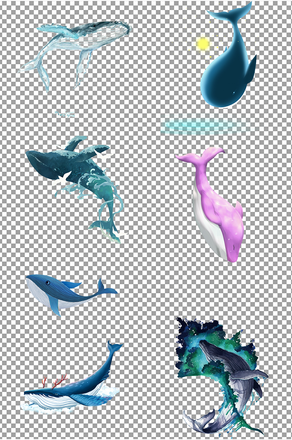 海洋生物鲸鱼素材