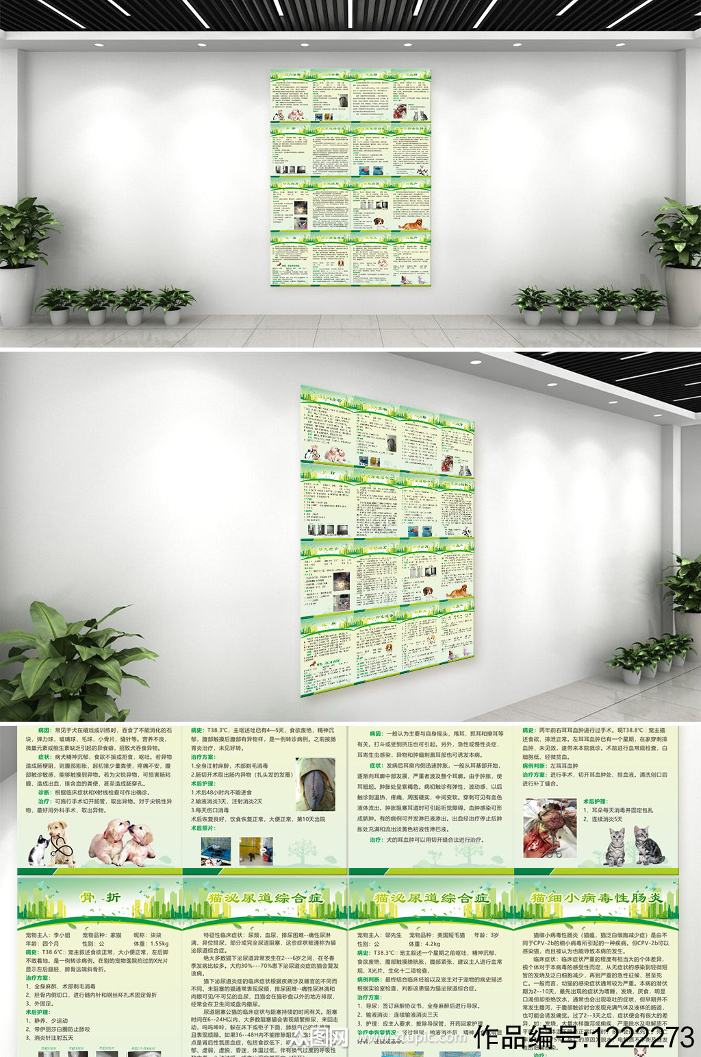 关爱宠物医院医疗文化墙