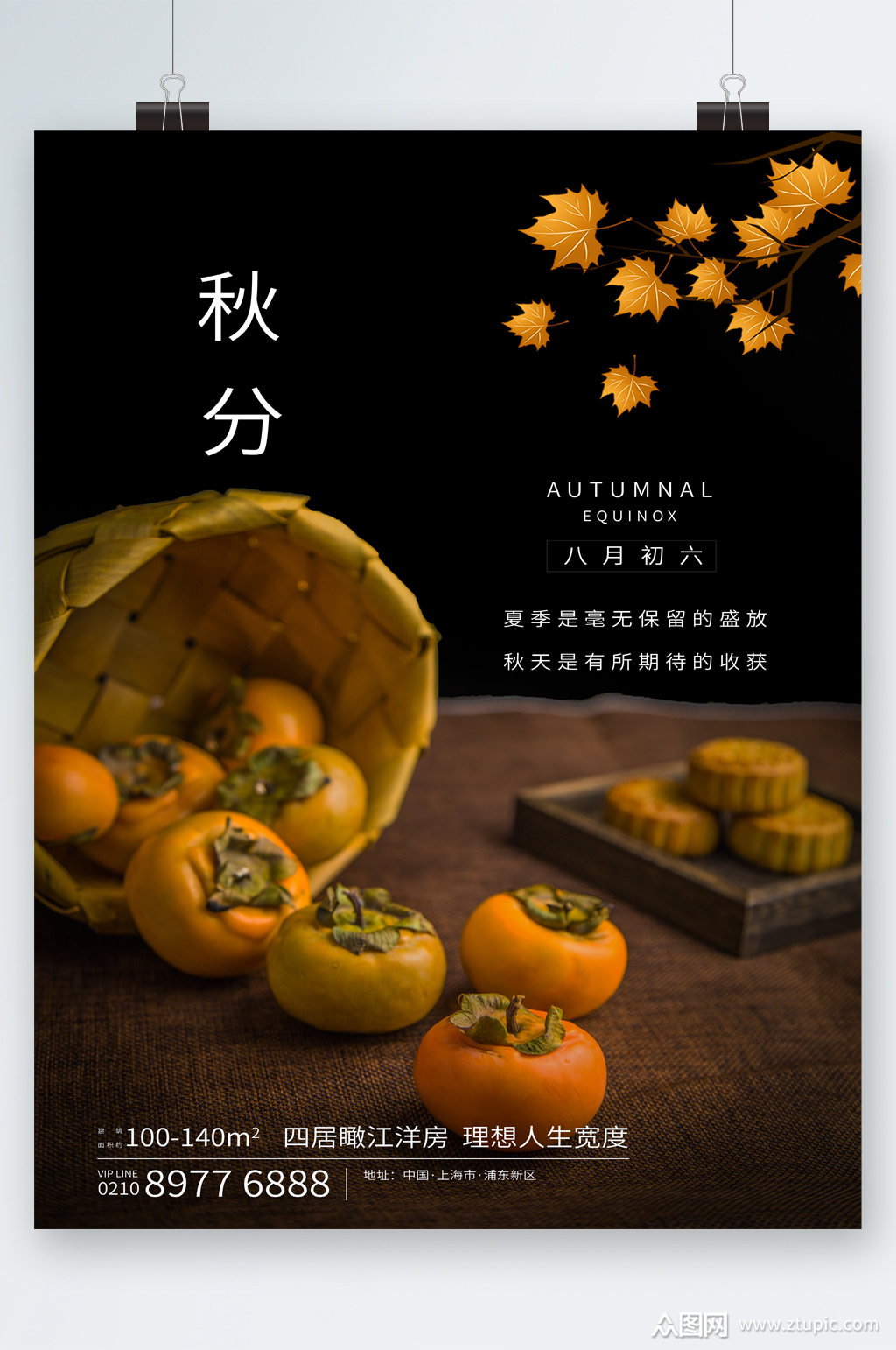 小清新柿子秋分节气海报素材