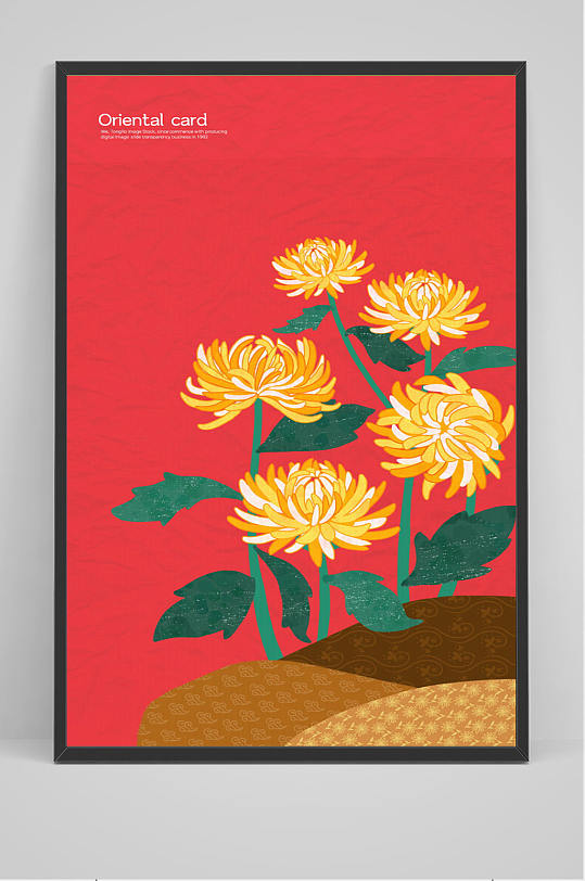 菊花插画