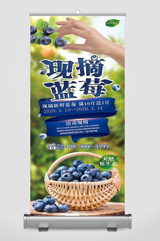 现摘蓝莓海报展架