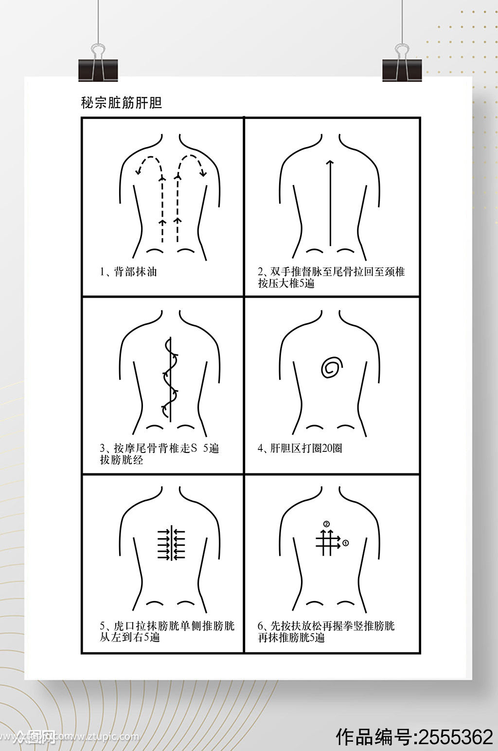 秘宗脏筋肝胆背部推拿法psd线稿图海报