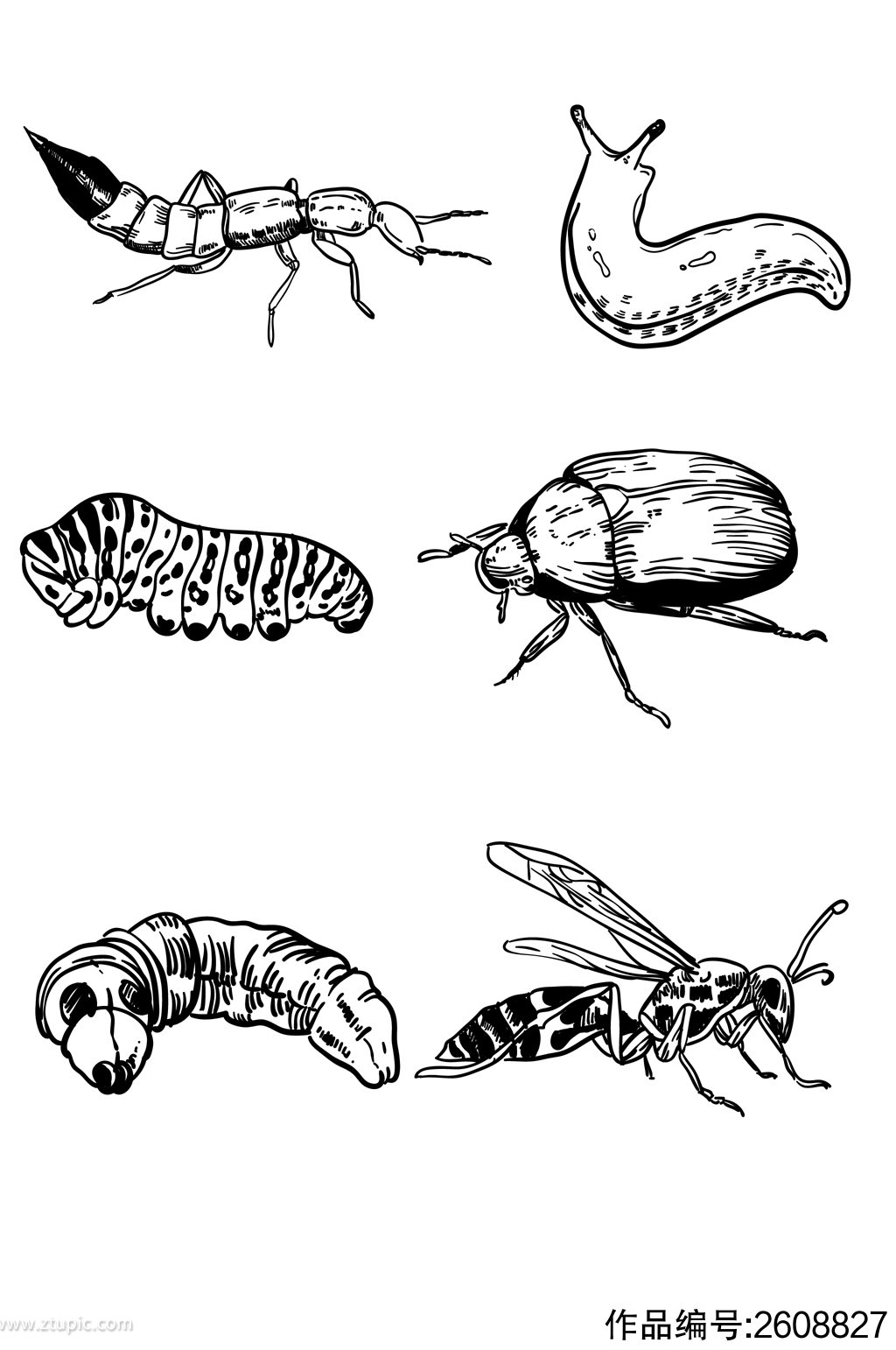 昆虫的简笔画最新 昆虫的简笔画 简单漂亮 - 水彩迷