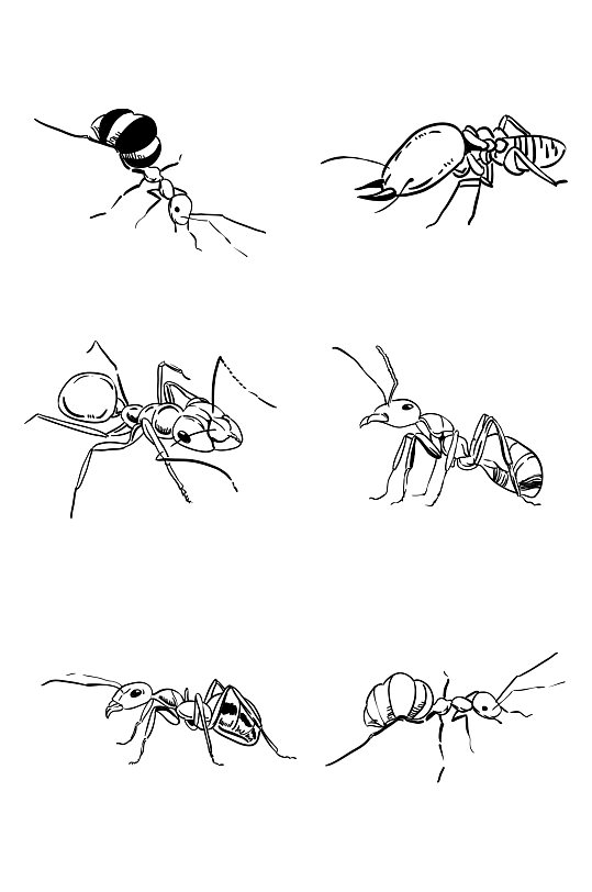 卡通蚂蚁手绘线描蚂蚁