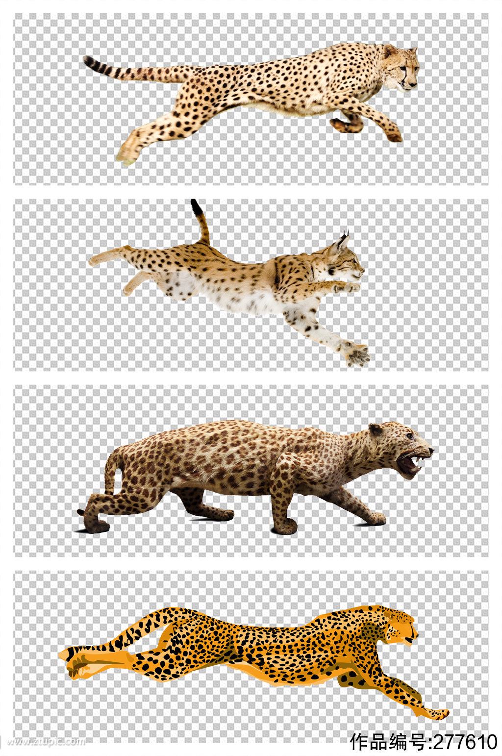 奔跑的豹子豹子图案