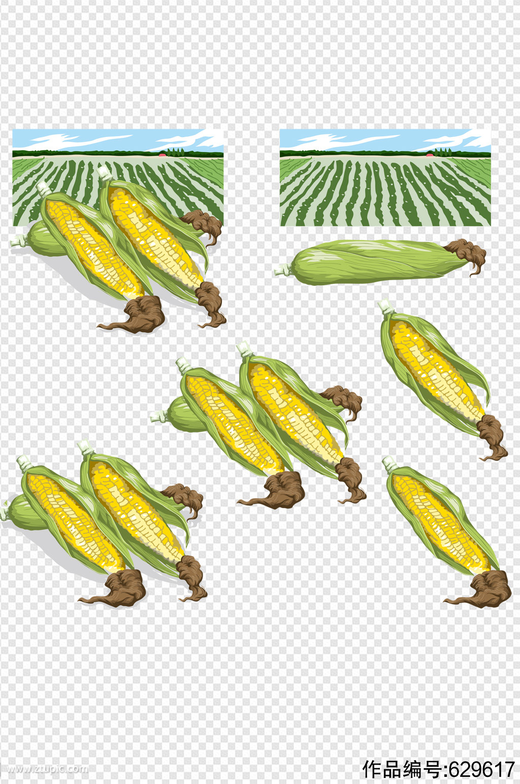 玉米簡筆畫線稿PNG圖案素材免費下載，可愛卡通圖片，尺寸2000 × 2000px - Lovepik