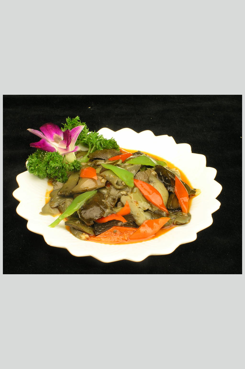 红油牛肝菌素材