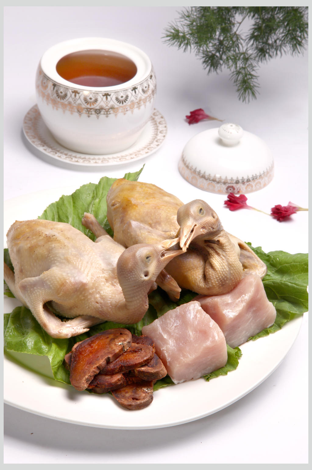 琐阳煨乳鸽素材