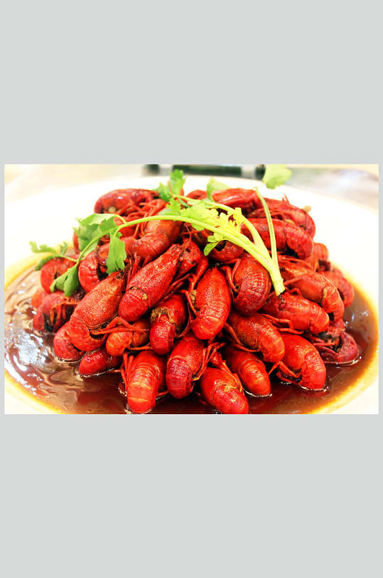 小龙虾高清图