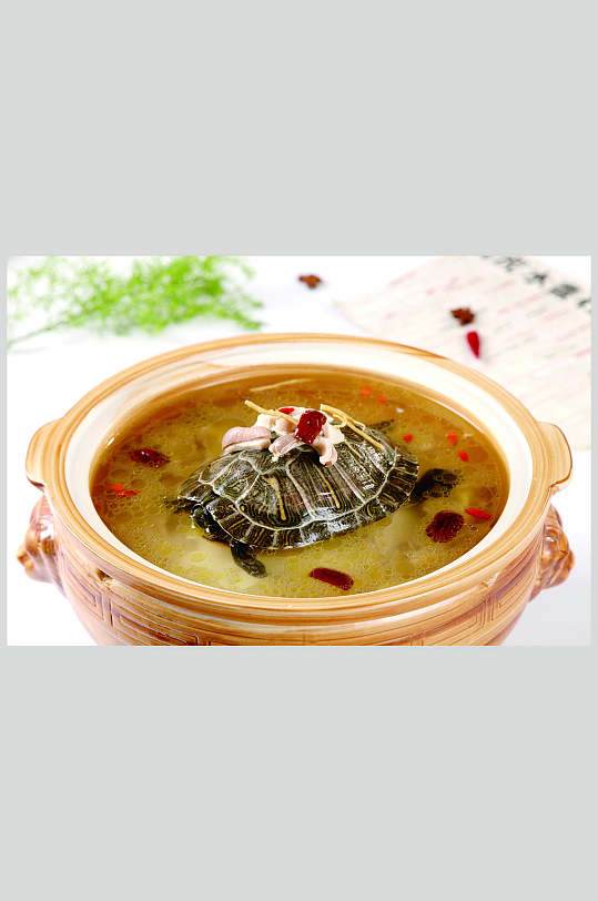 鳄鱼龟炖猪肚
