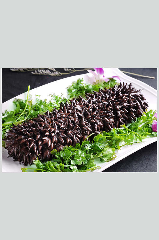 葱烧梅花参图片-葱烧梅花参素材下载-众图网