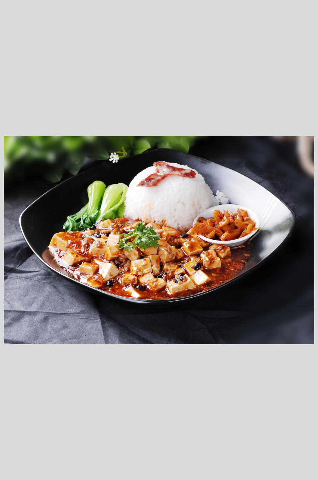 麻婆豆腐饭素材