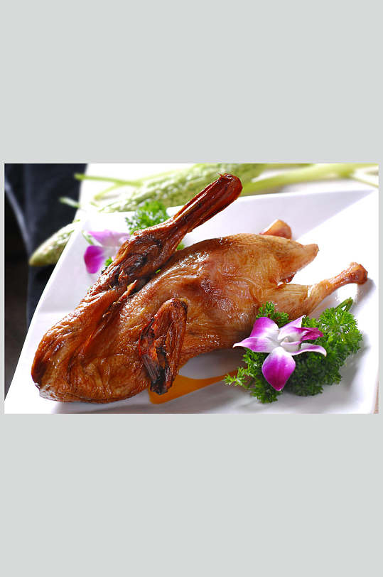 餐饮美食高清图片脆皮香鸭