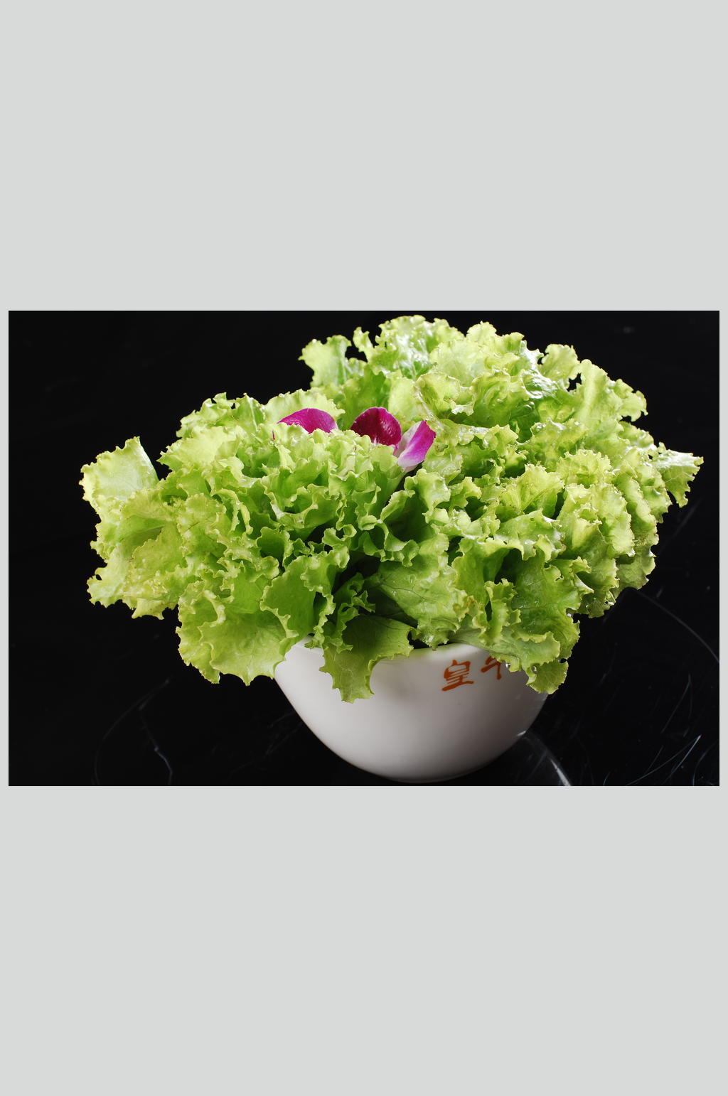 叶生菜高清餐饮美食图片素材