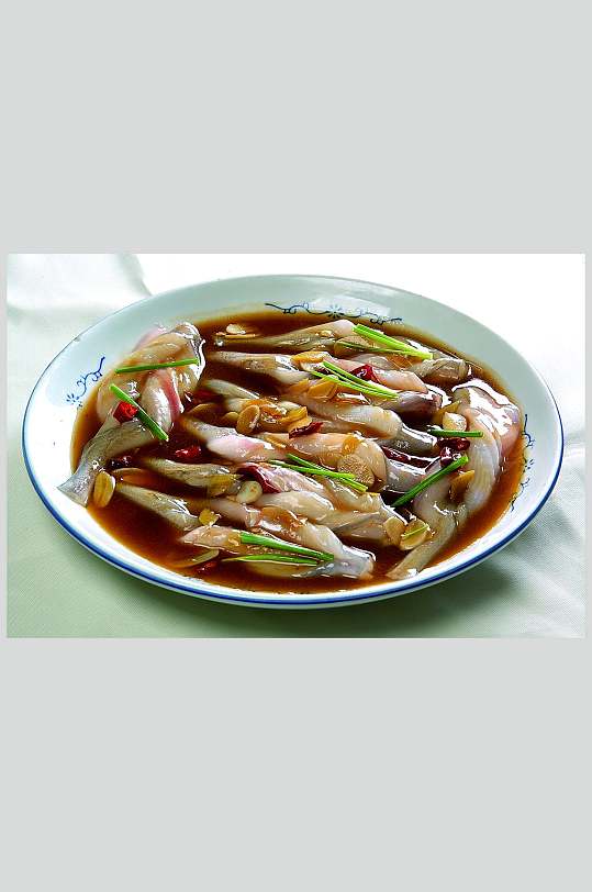 东海小龙鱼