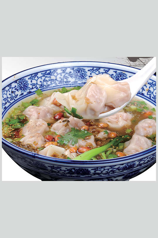 鲜肉混沌haib图片