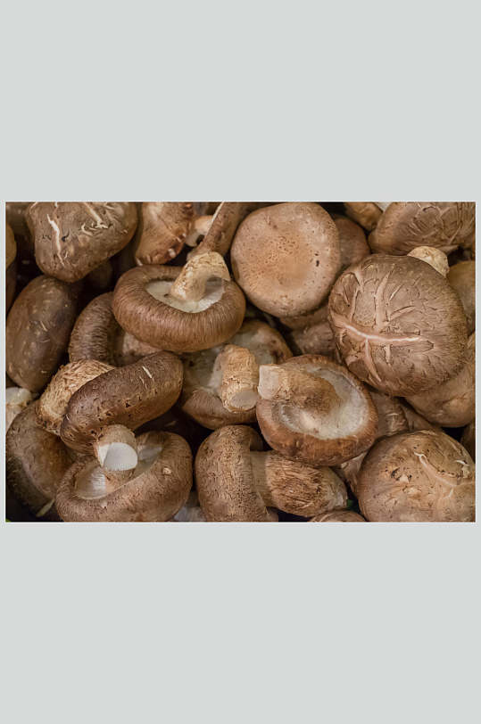 可食蘑菇图片大全大图高清蔬菜美食图片