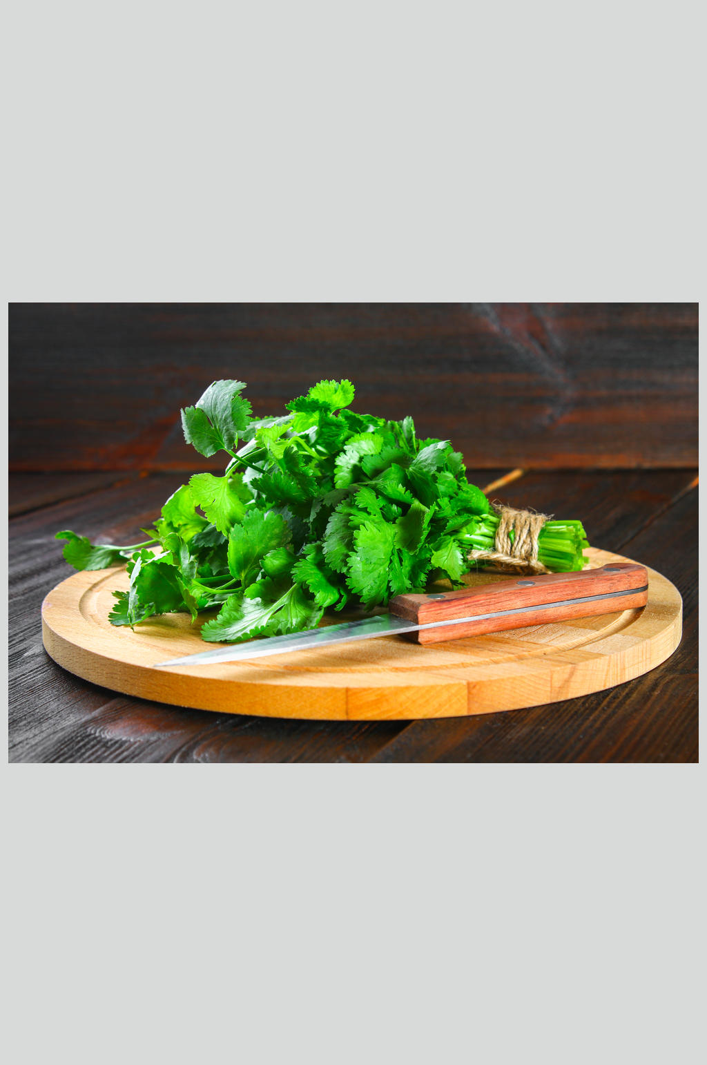 高清蔬菜美食图片香菜素材