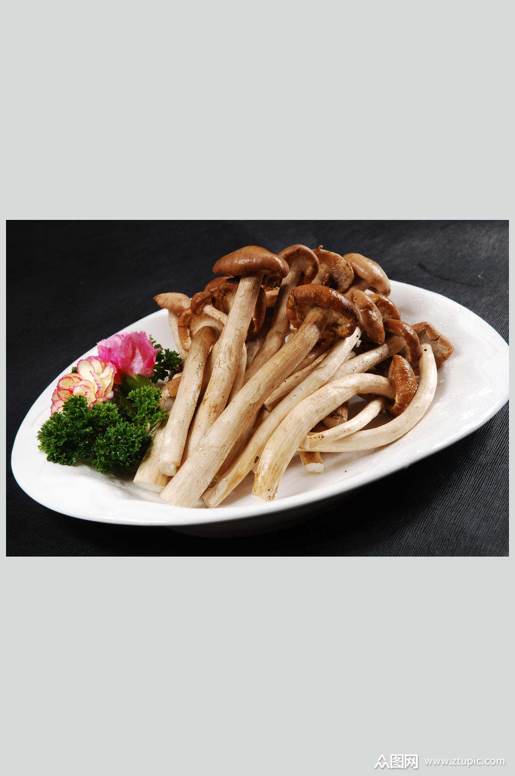 鲜茶树菇