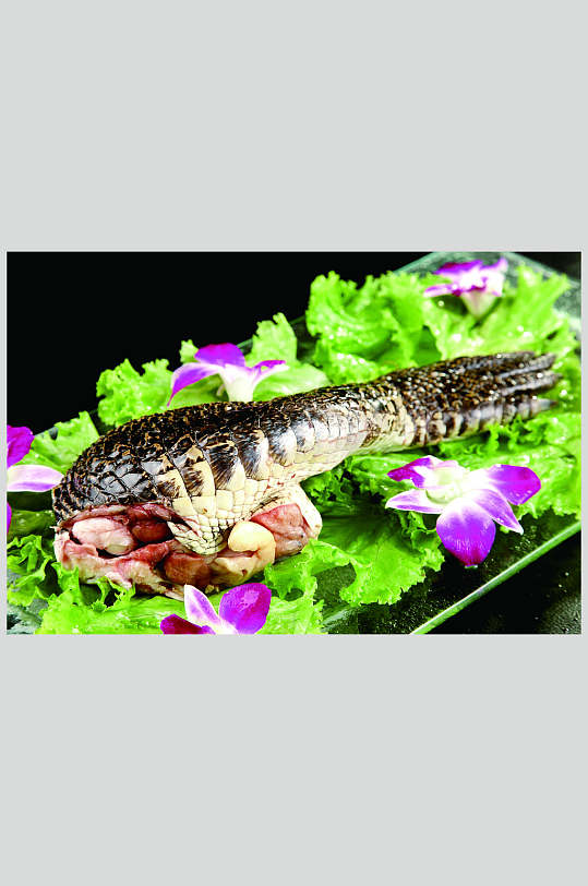 鳄鱼肉美食高清图片