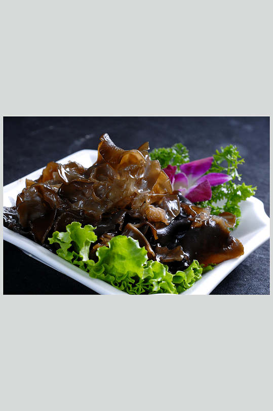 萨拉图片-萨拉素材下载-众图网