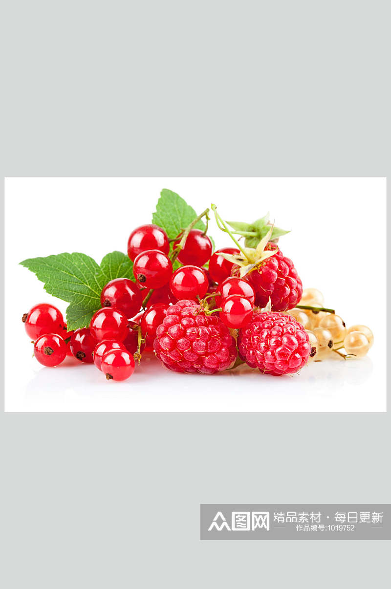 高清水果图片蔓越莓素材