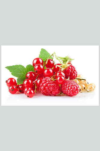 高清水果图片蔓越莓