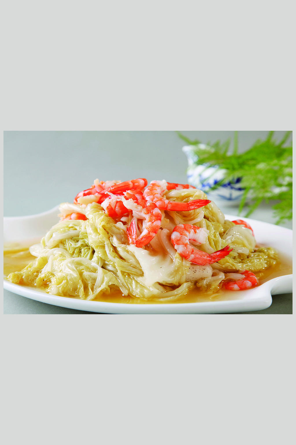 大虾烧白菜素材