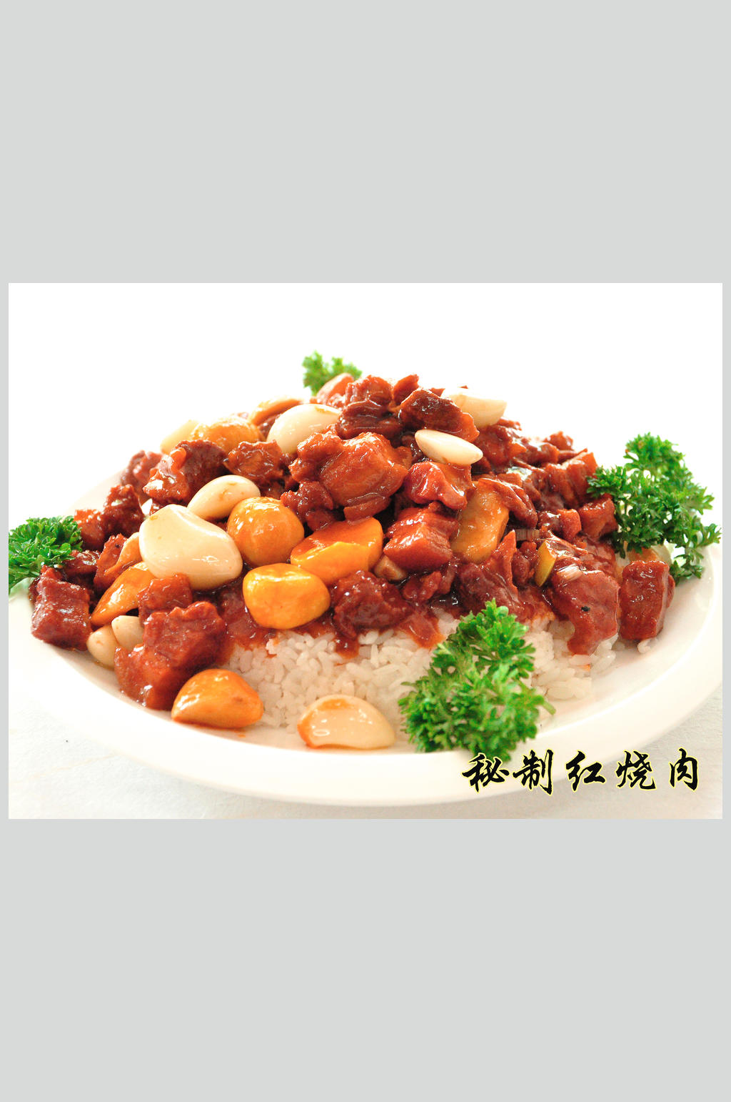 秘制红烧肉素材