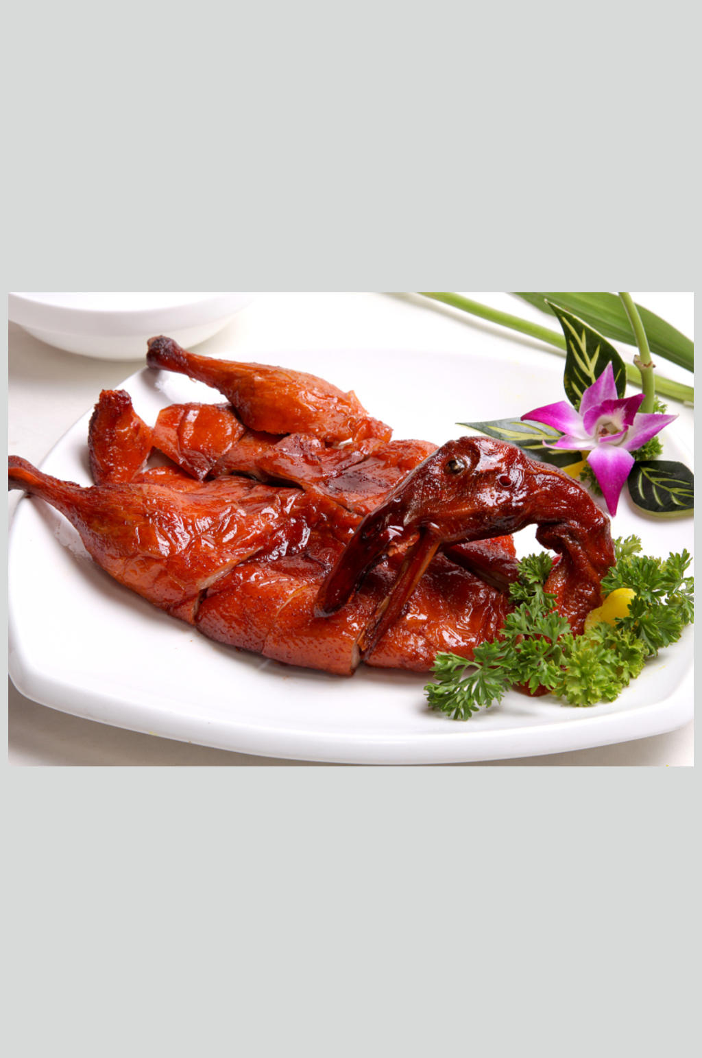 飘香BB鸭素材