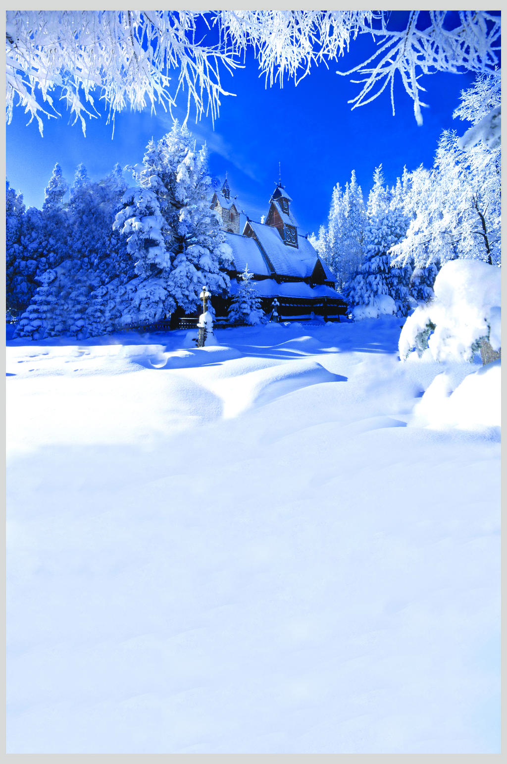 雪舞 雪景风景高清壁纸图片素材