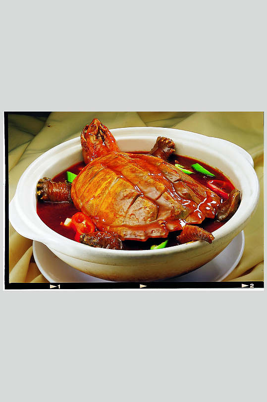红煨美国鳄鱼龟食物高清图片素材