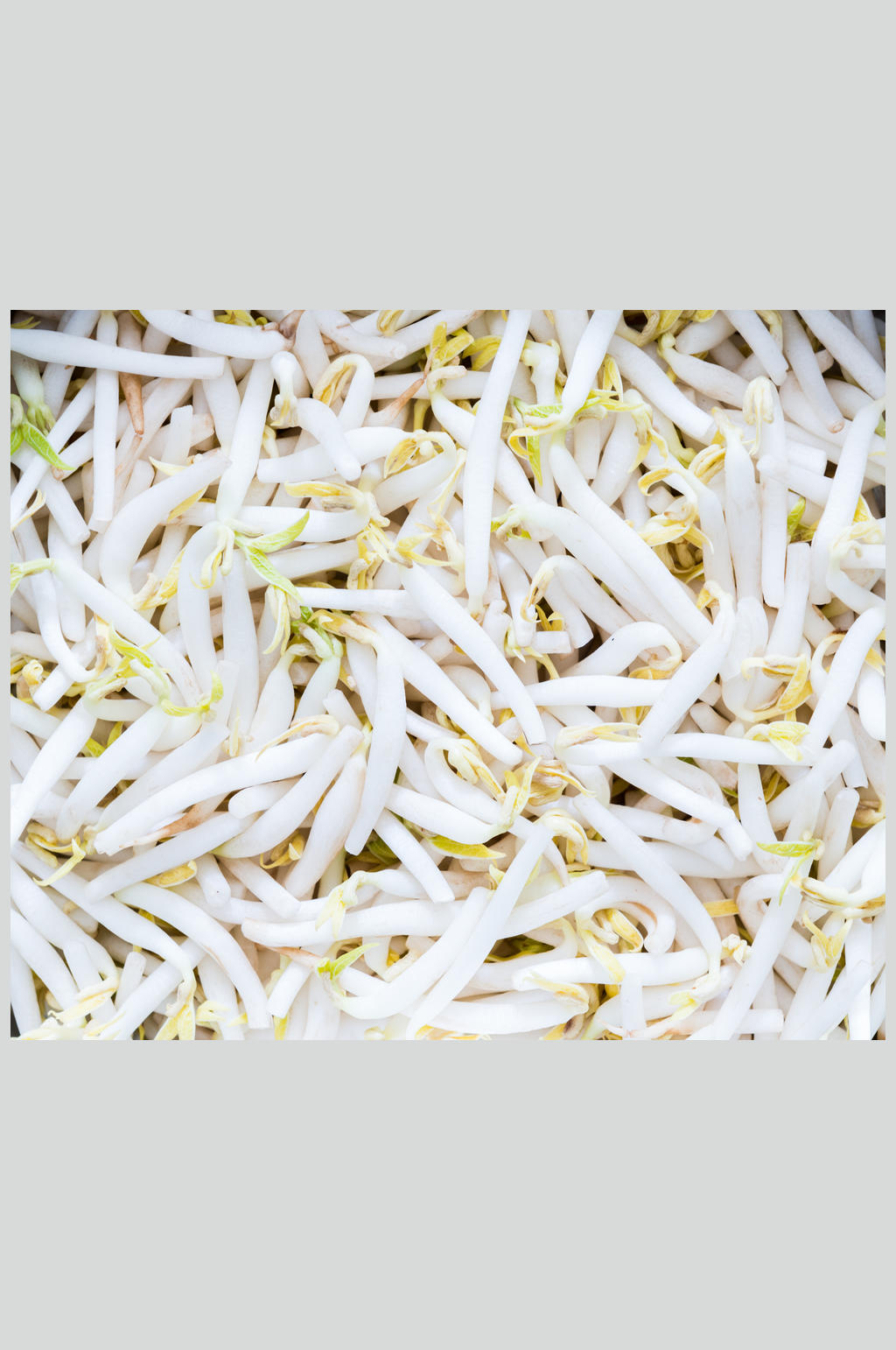 高清蔬菜美食图片 黄豆 芽素材