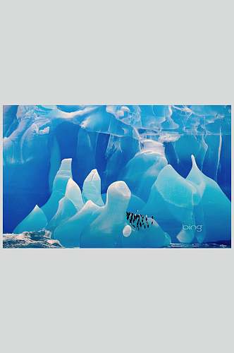 冰川企鹅高清风景图片