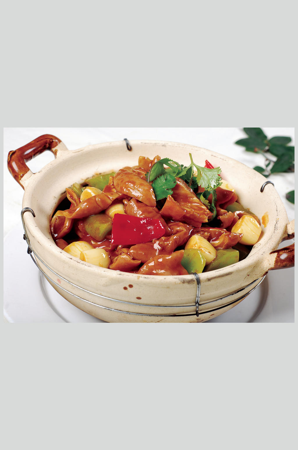 肥肠煲高清美食照片素材