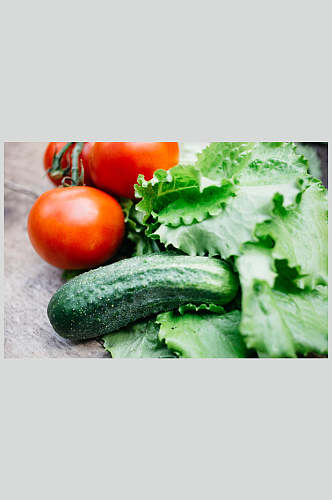 西红柿苦瓜蔬菜美食图片