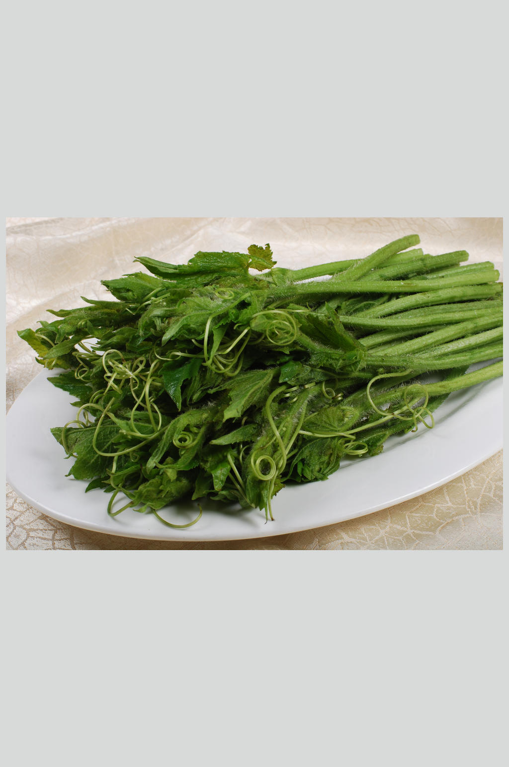 健康蔬菜南瓜苗素材