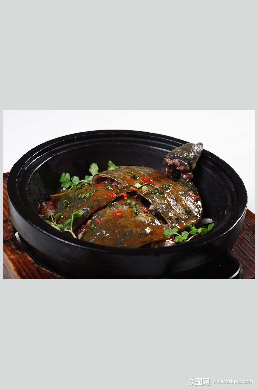 红烧甲鱼素材