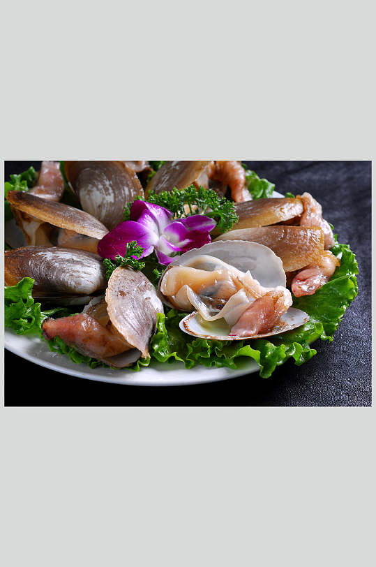 海鲜系列美食餐饮图片象拔蚌