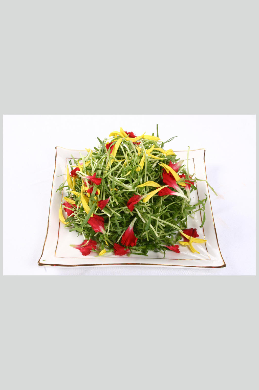 草尖吻鲜花素材