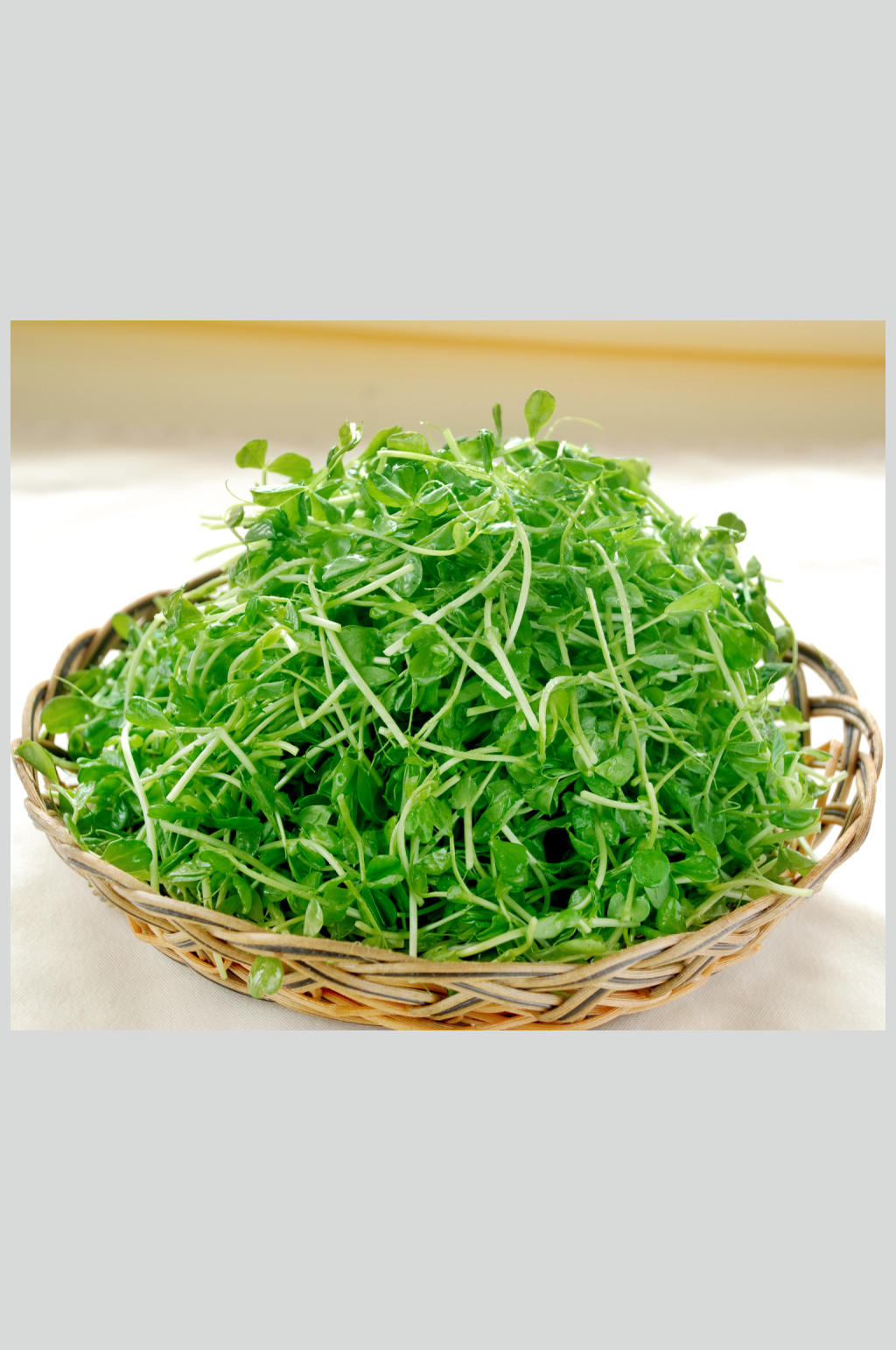 豆苗 白灼 蒜茸 青炒 炝炒蔬菜高清图片素材