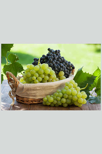 高清水果图片葡萄