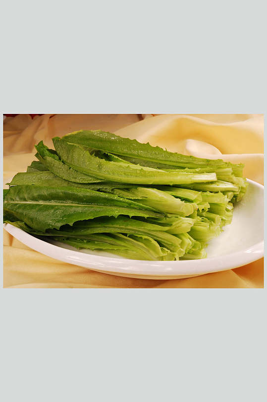 油麦菜餐饮美食图片